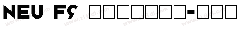 NEU F9 regular字体转换